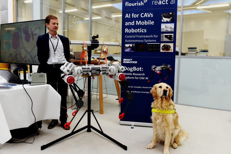 DogBot and Guide Dog
