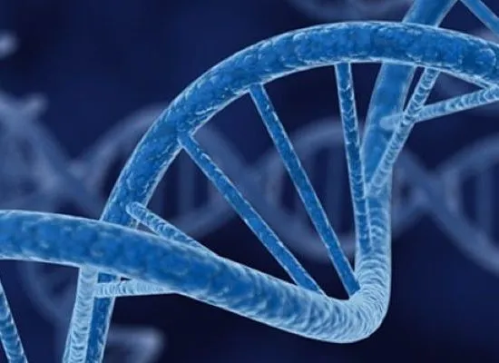 Automated PCR Results
