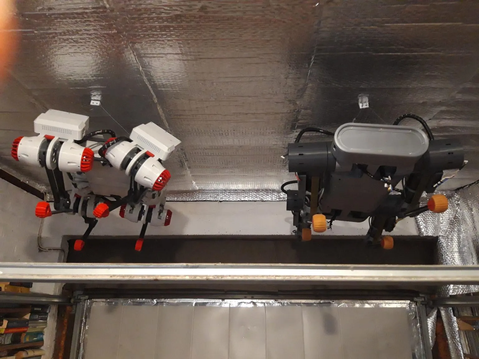 YoYo and Gyro dangling from the office ceiling