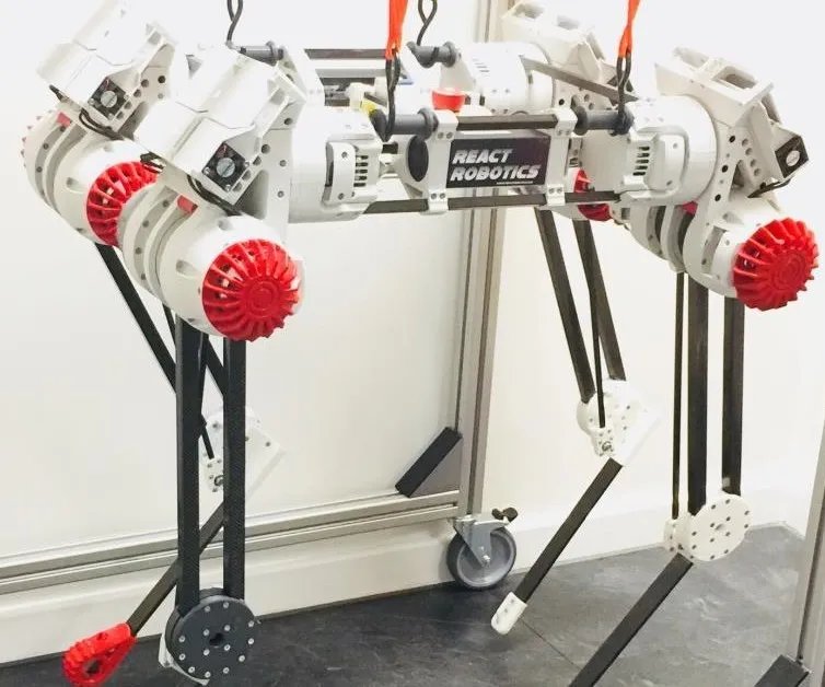 YoYo, the first proper DogBot
